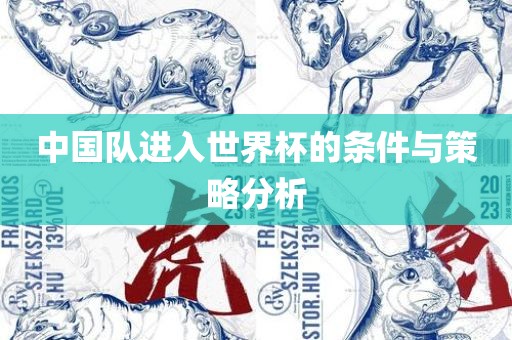 中国队进入世界杯的条件与策略分析广西贺州市华昌新材料有限公司