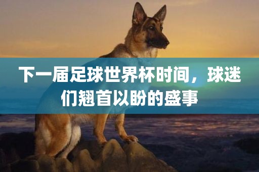 下一届足球世界广西贺州市华昌新材料有限公司杯时间，球迷们翘首以盼的盛事