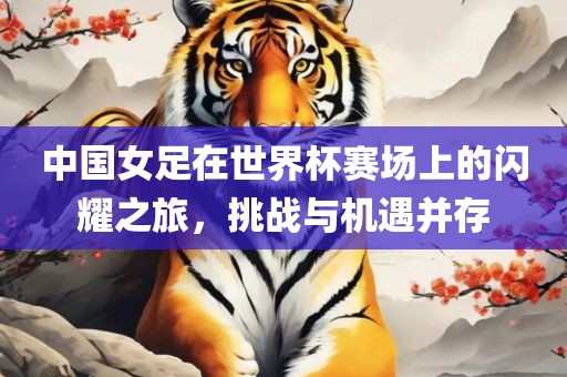 中国女足在世界杯赛场上的闪耀之旅，挑战与机遇并存