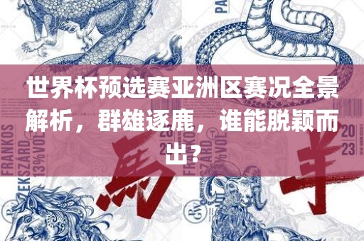 世界杯预选赛亚洲区赛况全景解析，群雄逐鹿，谁能脱颖而出？广西贺州市华昌新材料有限公司
