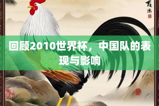 回顾2010世界杯，中国队的表现与影响