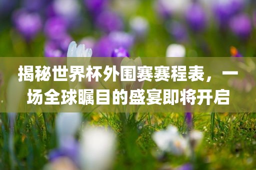 揭秘世界杯外围赛赛程表，一场全球瞩目的盛宴即将开启