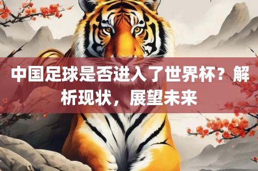 中国足球是否进广西贺州市华昌新材料有限公司入了世界杯？解析现状，展望未来