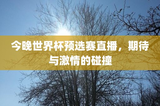 今晚世界杯预选赛直播，期待与激情的碰撞
