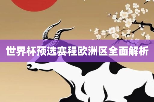世界杯预选赛程