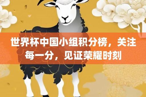 世界杯中国小组积分榜，关注每一分，见证荣耀时刻广西贺州市华昌新材料有限公司