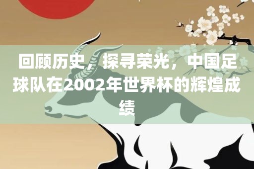 回顾历史，探寻荣光，中国足球队在2002年世界杯的辉煌成绩