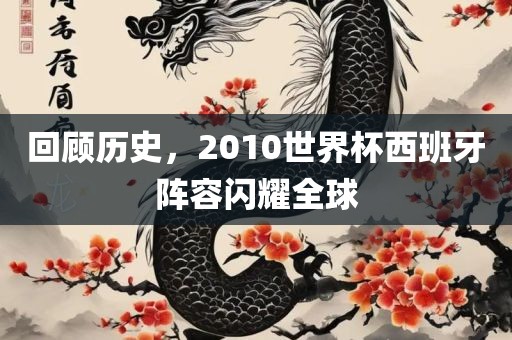 回顾历史，2010世界杯西班牙阵容闪耀全球广西贺州市华昌新材料有限公司