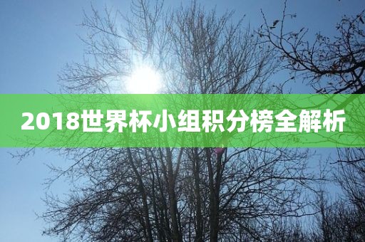 2018世界杯小组积分榜全解析
