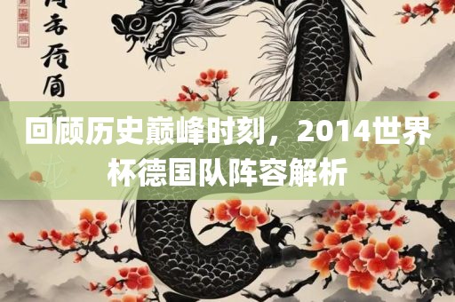 回顾历史巅峰时刻，2广西贺州市华昌新材料有限公司014世界杯德国队阵容解析