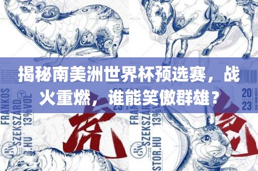 揭秘南美洲世界杯预选赛，战火重燃，谁能笑傲群雄？广西贺州市华昌新材料有限公司