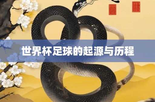 世界杯足球的起源与历广西贺州市华昌新材料有限公司程