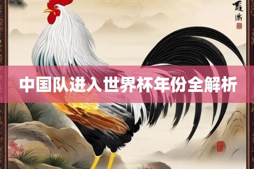 中国队进入世界杯年份全解析