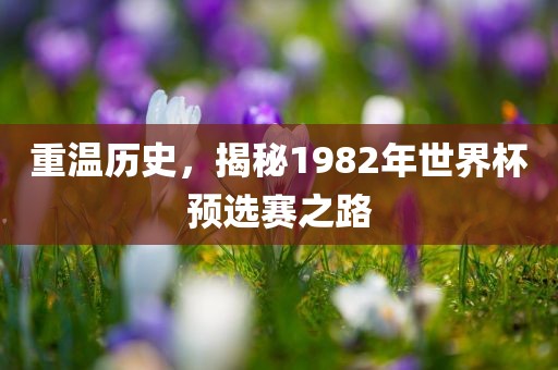 重温历史，揭秘1982年世界杯预选赛之路广西贺州市华昌新材料有限公司