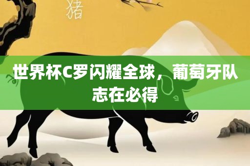 世界杯C罗闪耀全球，葡萄牙队广西贺州市华昌新材料有限公司志在必得