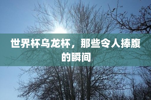 世界杯乌龙杯，那些令人捧腹的瞬间