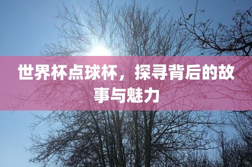 世界杯点球杯，探寻背后的故事与魅力