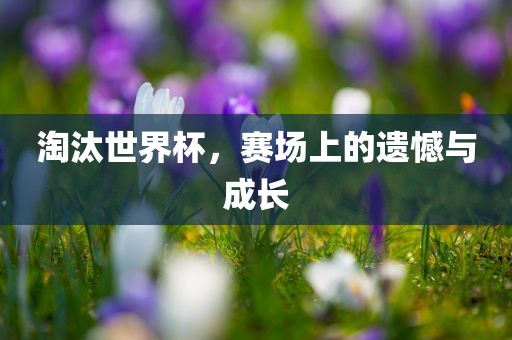 淘汰世界杯，赛场上的遗憾与成长广西贺州市华昌新材料有限公司