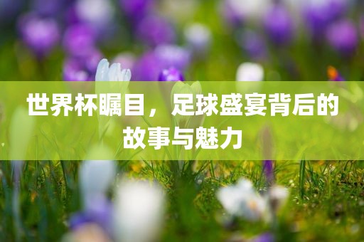 世界杯瞩目，足球盛宴背后的故事与魅力