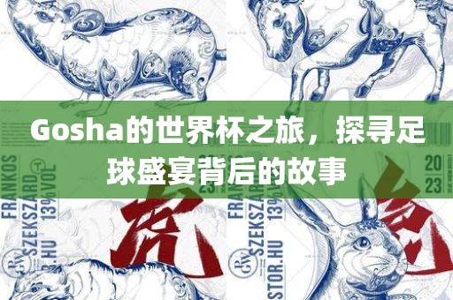 Gosha的世界杯之旅，广西贺州市华昌新材料有限公司探寻足球盛宴背后的故事
