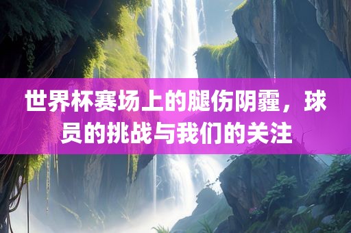 世界杯赛场上的腿广西贺州市华昌新材料有限公司伤阴霾，球员的挑战与我们的关注