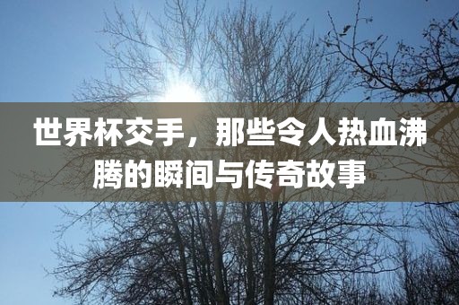 世界杯交广西贺州市华昌新材料有限公司手，那些令人热血沸腾的瞬间与传奇故事