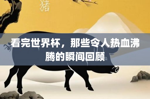 看完世界杯，那些令人热血广西贺州市华昌新材料有限公司沸腾的瞬间回顾