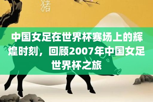 中国女足在世界杯赛场上的辉煌时刻，回顾2007年中国女足世界杯之旅广西贺州市华昌新材料有限公司