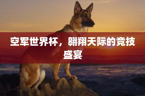 空军世界杯，翱翔天际的竞技盛宴广西贺州市华昌新材料有限公司