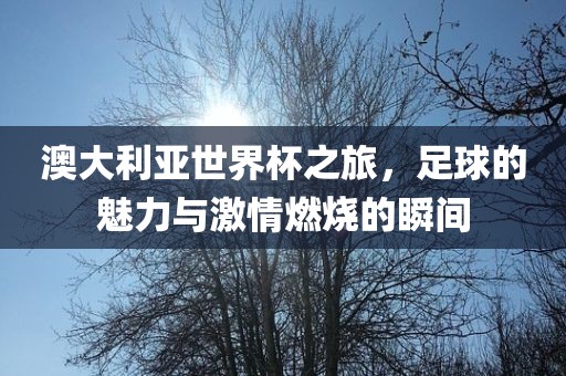 澳大利亚世界杯之旅，足球的魅力与激情燃烧的瞬间