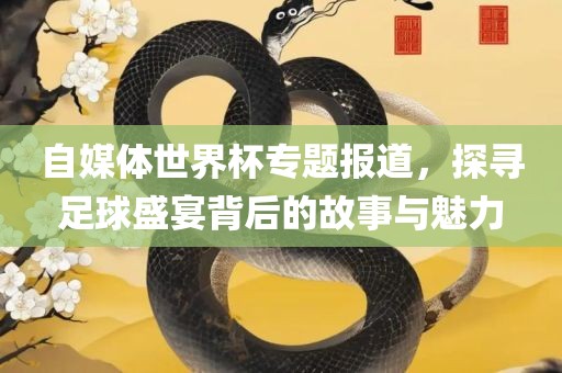 自媒体世界杯专题报道，探寻足球盛宴背后的故事与魅力广西贺州市华昌新材料有限公司