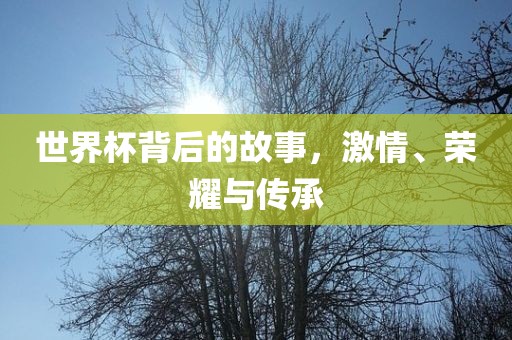 世界杯背后的故事，激情、荣耀与传承广西贺州市华昌新材料有限公司