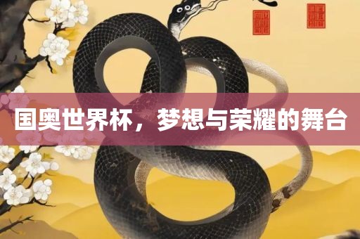 国奥世界杯，梦想与荣耀的舞台