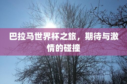 巴拉马世界杯之旅，期待与激情的碰撞广西贺州市华昌新材料有限公司