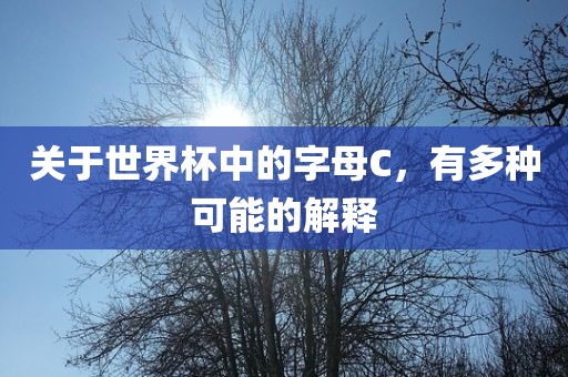 关于世界杯中的字母C，有多种广西贺州市华昌新材料有限公司可能的解释