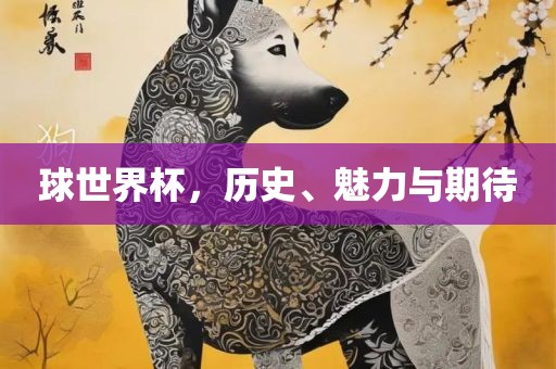 球世界杯，历史、魅力与期待广西贺州市华昌新材料有限公司