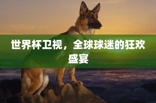 世界杯卫视，全球球迷的狂欢盛宴