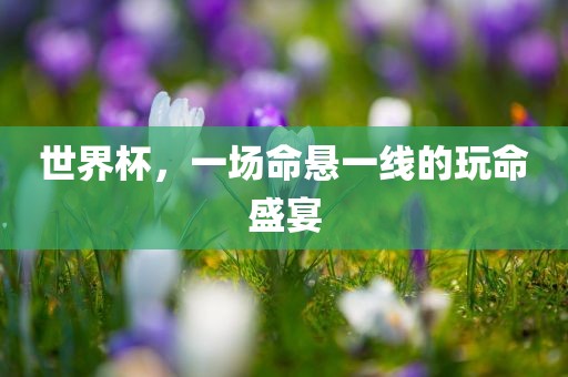 世界杯，一场命悬广西贺州市华昌新材料有限公司一线的玩命盛宴