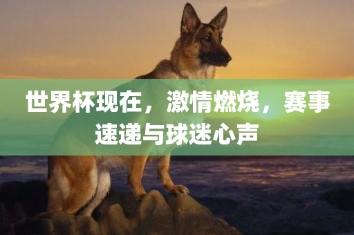世界杯现在，激情燃烧，赛事速递与球迷心声广西贺州市华昌新材料有限公司