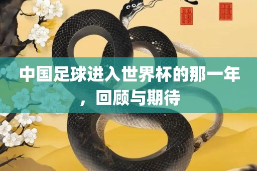 中国足球进入世界杯的那一年，回顾与期待广西贺州市华昌新材料有限公司