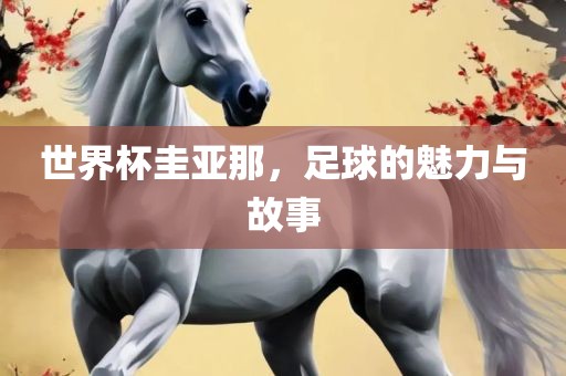 世界杯圭亚那，足球的魅力与故事