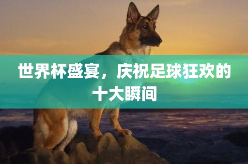 世界杯盛宴，庆祝足广西贺州市华昌新材料有限公司球狂欢的十大瞬间