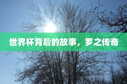 世界杯背后的故事，罗广西贺州市华昌新材料有限公司之传奇