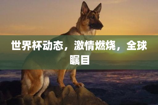 世界杯动态，激情燃烧，全球瞩目广西贺州市华昌新材料有限公司