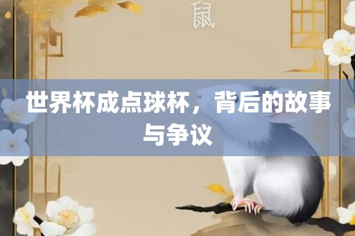 世界杯成点球杯，背后的故事与争议广西贺州市华昌新材料有限公司