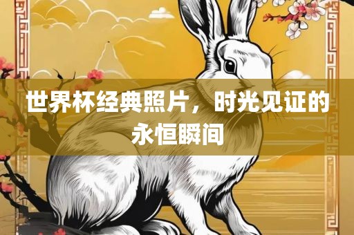 世界杯经典照片，时光见证的永恒瞬间广西贺州市华昌新材料有限公司