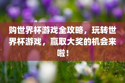 购世界杯游戏全攻略，玩转世界杯游戏，赢取大奖的机会来啦！