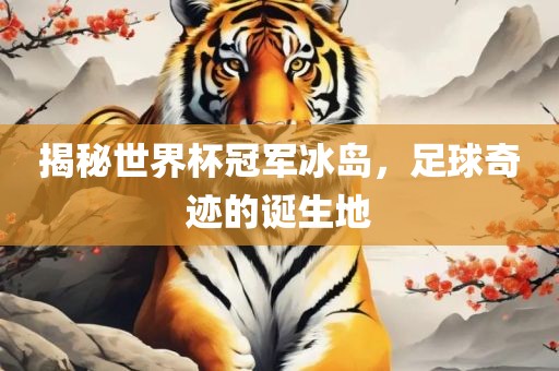 揭秘世界杯冠军冰岛，足球奇迹的诞生地广西贺州市华昌新材料有限公司
