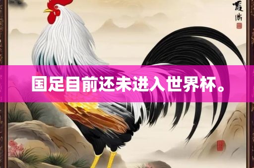 国足目前还未进入世界杯。广西贺州市华昌新材料有限公司