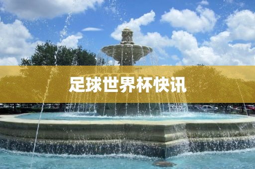 足球世界杯快讯广西贺州市华昌新材料有限公司